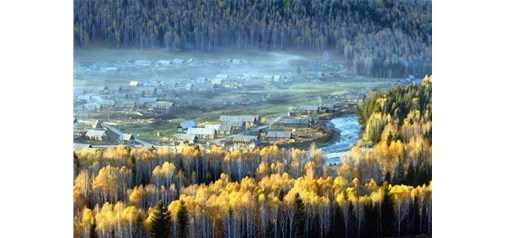 清明旅游人数破亿，乡村旅游备受青睐